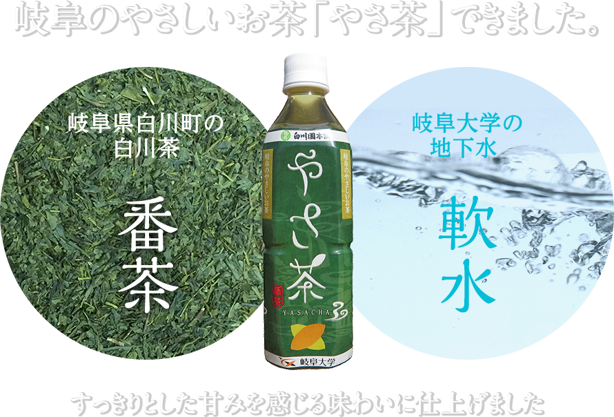 岐阜大学の学生グループが地域連携によって考案／岐阜のやさしいお茶「やさ茶」できました。／岐阜県白川町の白川茶（番茶）×岐阜大学の地下水（軟水）／すっきりとした甘みを感じる味わいに仕上げました